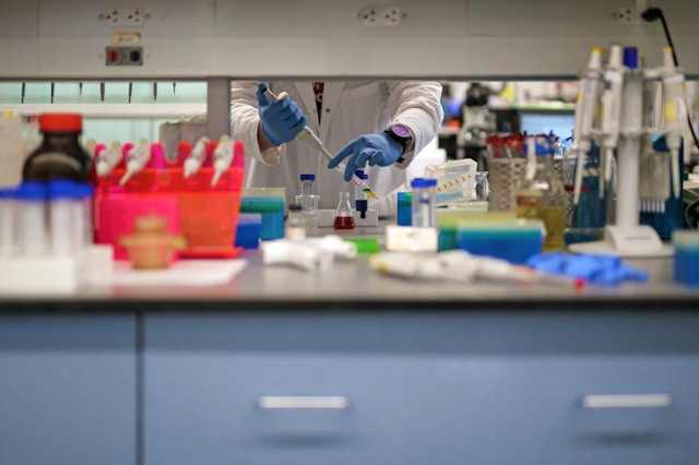 Investigadores trabajando en un proyecto de innovación social. Imagen de Unsplash.